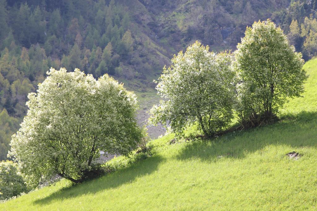 Apart Gletscherblick Kaunertal Dış mekan fotoğraf
