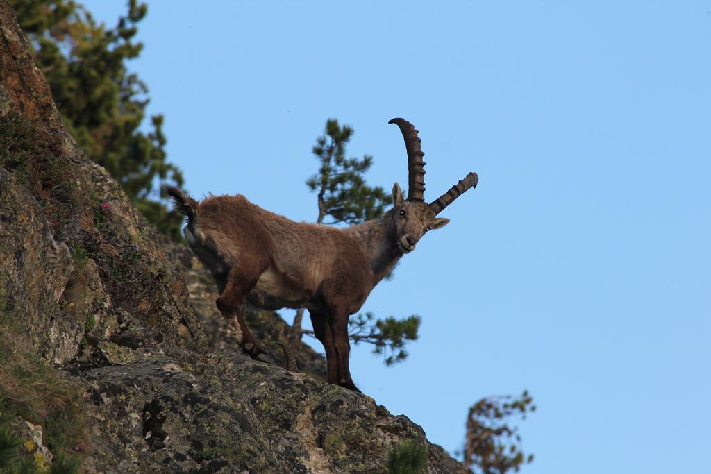 Apart Gletscherblick Kaunertal Dış mekan fotoğraf