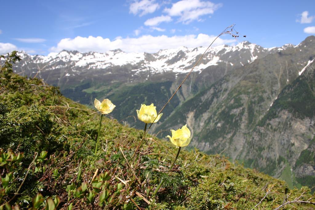 Apart Gletscherblick Kaunertal Dış mekan fotoğraf