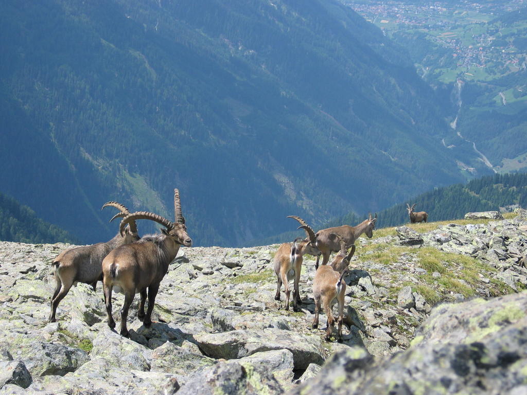 Apart Gletscherblick Kaunertal Dış mekan fotoğraf